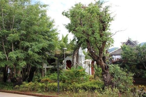 Xishuangbanna Elephanthome Boutique Guest House Exteriör bild